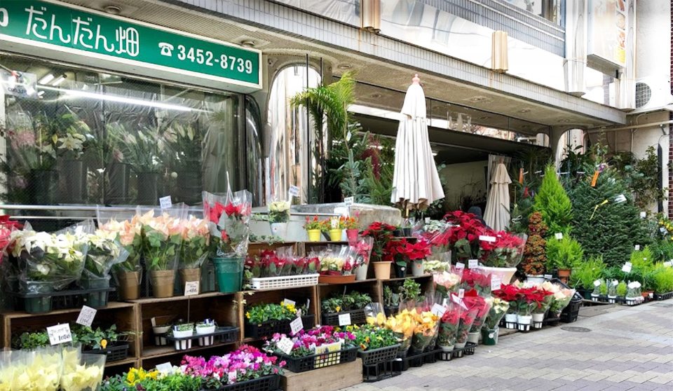 flower shop だんだん畑の写真