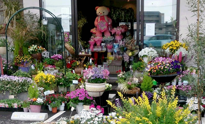 Ｙ’ｓ Ｆｌｏｗｅｒ 岡山店の写真
