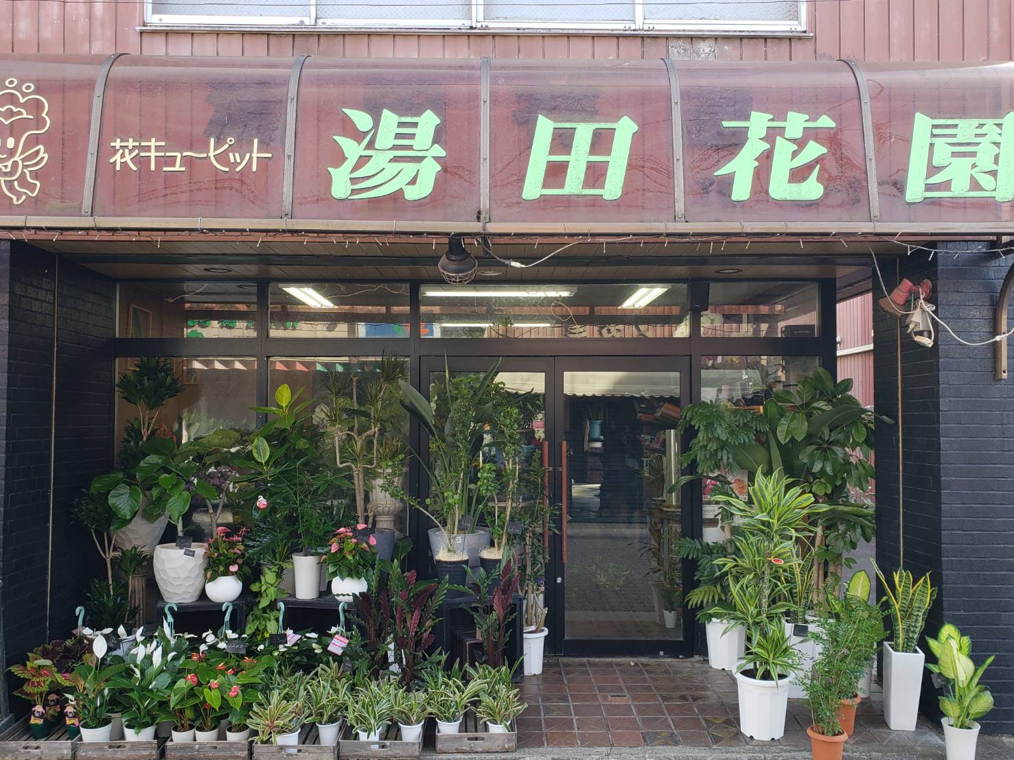 (有) 湯田花園の写真