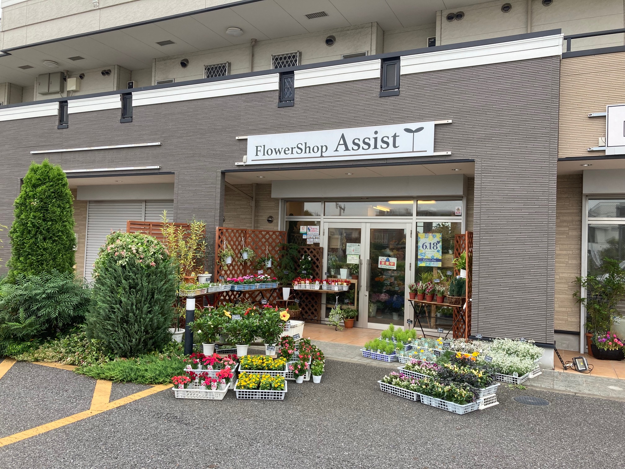 Flower Shop Assistの写真